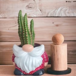 Gnome cüce saksı kalemlik silikon kalıp no1