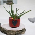 Photoroom_20250211_045945