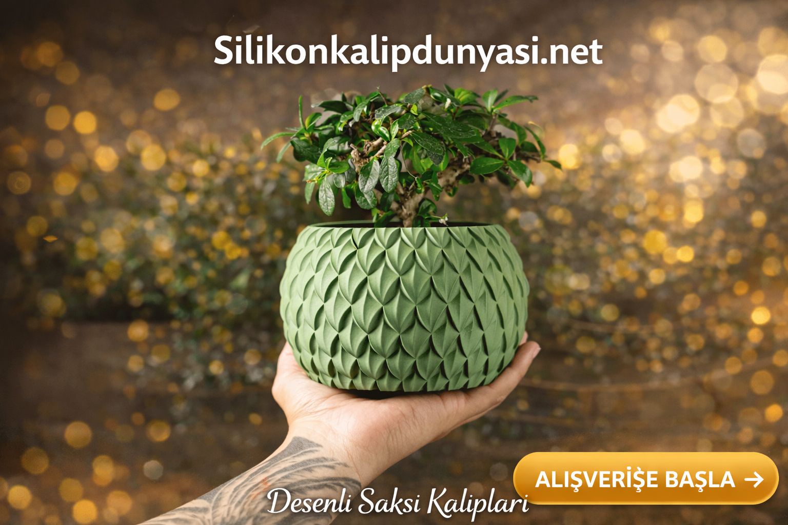 WhatsApp Image 2026-03-08 at 07.40.45